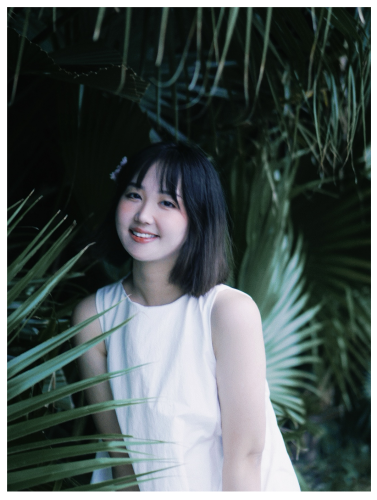 副会长 金鳞（成都）